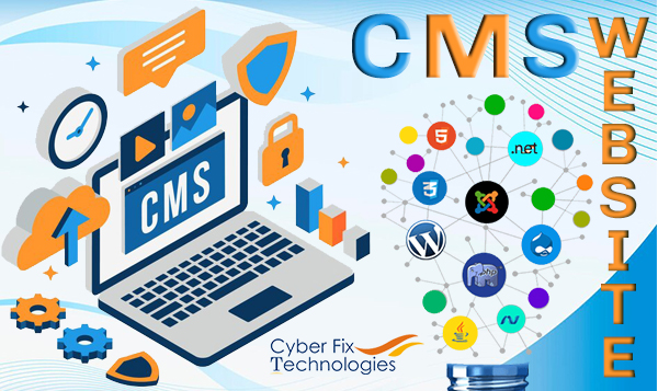 CMS website services provider
