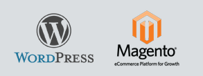 Wordpress / Magento services